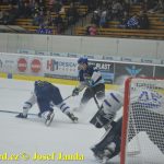 Kohouti zahnali lví smečku do kouta půltuctem už v půlce zápasu