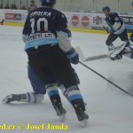 Kohouti zahnali lví smečku do kouta půltuctem už v půlce zápasu