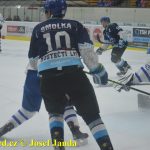 Kohouti zahnali lví smečku do kouta půltuctem už v půlce zápasu