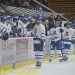 Kohouti zahnali lví smečku do kouta půltuctem už v půlce zápasu