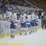 Kohouti zahnali lví smečku do kouta půltuctem už v půlce zápasu