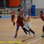 Medvědům trojky nepadaly, přesto porazili Tigers téměř o 20 bodů