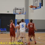 Medvědům trojky nepadaly, přesto porazili Tigers téměř o 20 bodů