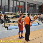 Medvědům trojky nepadaly, přesto porazili Tigers téměř o 20 bodů