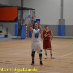 Medvědům trojky nepadaly, přesto porazili Tigers téměř o 20 bodů