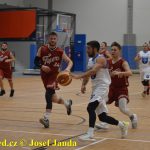 Medvědům trojky nepadaly, přesto porazili Tigers téměř o 20 bodů