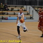Medvědům trojky nepadaly, přesto porazili Tigers téměř o 20 bodů