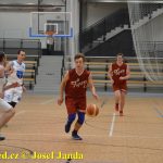 Medvědům trojky nepadaly, přesto porazili Tigers téměř o 20 bodů