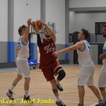Medvědům trojky nepadaly, přesto porazili Tigers téměř o 20 bodů