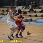 Medvědům trojky nepadaly, přesto porazili Tigers téměř o 20 bodů