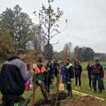Obyvatelé Dolní Radouně na návsi vysadili padesát stromů