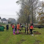 Obyvatelé Dolní Radouně na návsi vysadili padesát stromů