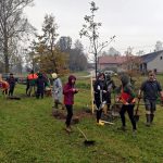 Obyvatelé Dolní Radouně na návsi vysadili padesát stromů