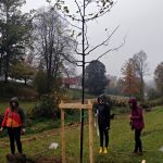 Obyvatelé Dolní Radouně na návsi vysadili padesát stromů