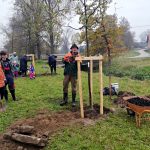 Obyvatelé Dolní Radouně na návsi vysadili padesát stromů