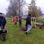 Obyvatelé Dolní Radouně na návsi vysadili padesát stromů