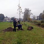 Obyvatelé Dolní Radouně na návsi vysadili padesát stromů