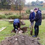 Obyvatelé Dolní Radouně na návsi vysadili padesát stromů