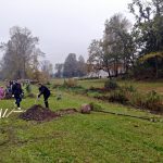 Obyvatelé Dolní Radouně na návsi vysadili padesát stromů