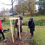 Obyvatelé Dolní Radouně na návsi vysadili padesát stromů
