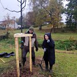 Obyvatelé Dolní Radouně na návsi vysadili padesát stromů