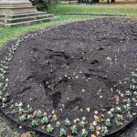 Záhony v Písku jsou připravené na jaro, opět ale čelí vandalům