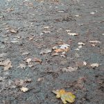 Podzimní mlhy jsou tu. Řidiči by měli sundat nohu z plynu