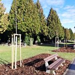 Vstupní cesta na městský hřbitov v Jindřichově Hradci se dočkala revitalizace