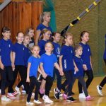 VIDEO: Píseckou sportovní halu oživila sokolská akademie