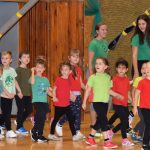 VIDEO: Píseckou sportovní halu oživila sokolská akademie