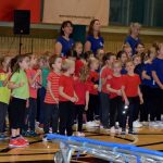 VIDEO: Píseckou sportovní halu oživila sokolská akademie