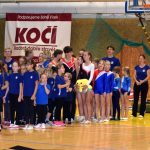 VIDEO: Píseckou sportovní halu oživila sokolská akademie