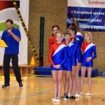 VIDEO: Píseckou sportovní halu oživila sokolská akademie