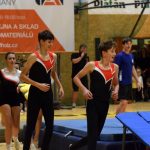 VIDEO: Píseckou sportovní halu oživila sokolská akademie