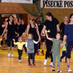 VIDEO: Píseckou sportovní halu oživila sokolská akademie