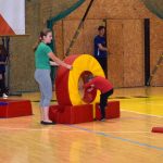 VIDEO: Píseckou sportovní halu oživila sokolská akademie