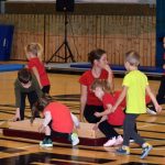 VIDEO: Píseckou sportovní halu oživila sokolská akademie