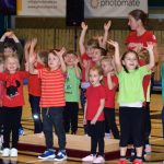 VIDEO: Píseckou sportovní halu oživila sokolská akademie