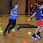 VIDEO: Píseckou sportovní halu oživila sokolská akademie