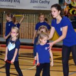 VIDEO: Píseckou sportovní halu oživila sokolská akademie