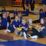 VIDEO: Píseckou sportovní halu oživila sokolská akademie