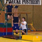 VIDEO: Píseckou sportovní halu oživila sokolská akademie