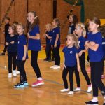 VIDEO: Píseckou sportovní halu oživila sokolská akademie