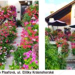 Květinová soutěž v Jindřichově Hradci už má vítěze. Ceny si převzali v refektáři muzea fotografie
