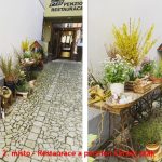 Květinová soutěž v Jindřichově Hradci už má vítěze. Ceny si převzali v refektáři muzea fotografie