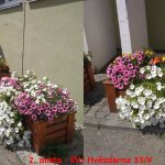 Květinová soutěž v Jindřichově Hradci už má vítěze. Ceny si převzali v refektáři muzea fotografie
