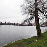 Rybník Vajgar v Jindřichově Hradci čeká odbahnění. Město ho také chce víc zpřístupnit lidem