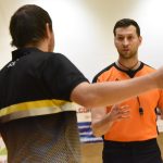 V duelu o druhé místo tahali Sršni za kratší konec provazu
