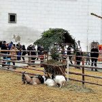 Adventní dny na hradeckém zámku si nenechalo ujít víc než deset tisíc návštěvníků