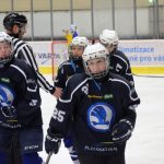 Starší žáci Milevska na silné protivníky z extraligových organizací nestačili